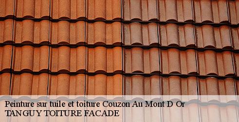 peinture-sur-tuile-et-toiture-tanguy-toiture-facade-4