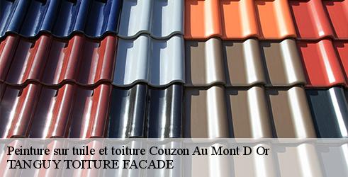 peinture-sur-tuile-et-toiture-tanguy-toiture-facade-7