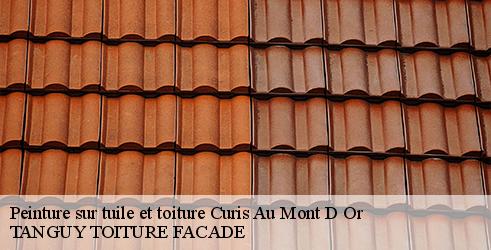 peinture-sur-tuile-et-toiture-tanguy-toiture-facade-4