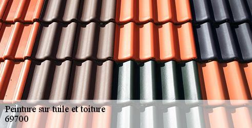 peinture-sur-tuile-et-toiture-tanguy-toiture-facade-8