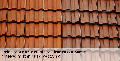 peinture-sur-tuile-et-toiture-tanguy-toiture-facade-4