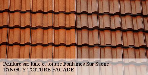 peinture-sur-tuile-et-toiture-tanguy-toiture-facade-4