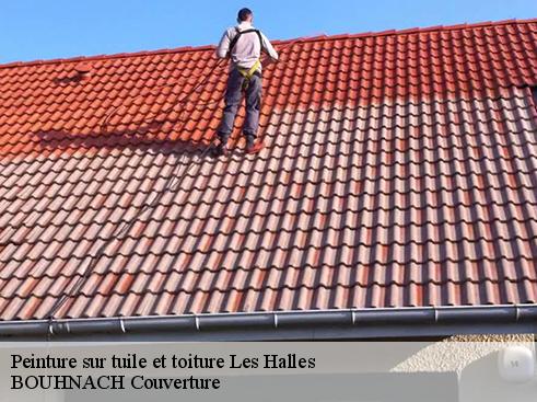 Peinture sur tuile et toiture  les-halles-69610 Artisan Payen