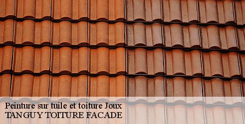 peinture-sur-tuile-et-toiture-tanguy-toiture-facade-4