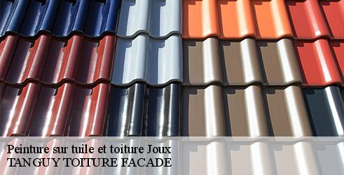 peinture-sur-tuile-et-toiture-tanguy-toiture-facade-7