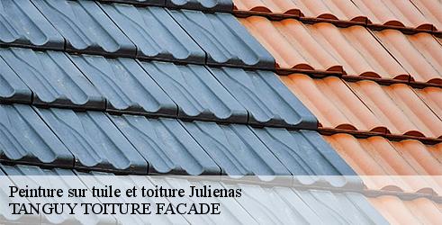 Peinture sur tuile et toiture TANGUY TOITURE FACADE