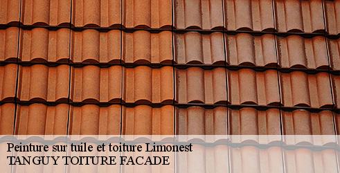 peinture-sur-tuile-et-toiture-tanguy-toiture-facade-4