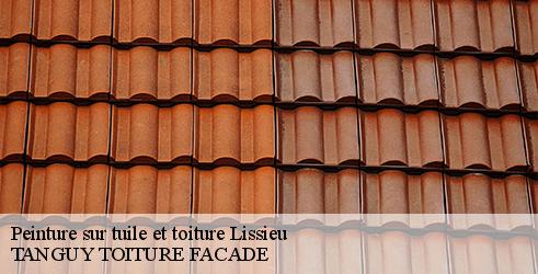 peinture-sur-tuile-et-toiture-tanguy-toiture-facade-4