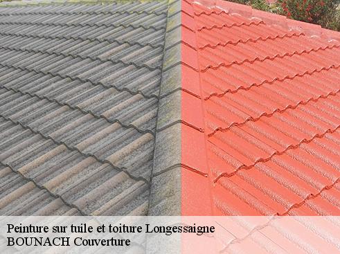 Peinture sur tuile et toiture longessaigne-69770 BOUNACH Couverture