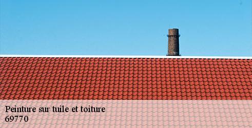 peinture-sur-tuile-et-toiture-tanguy-toiture-facade-2