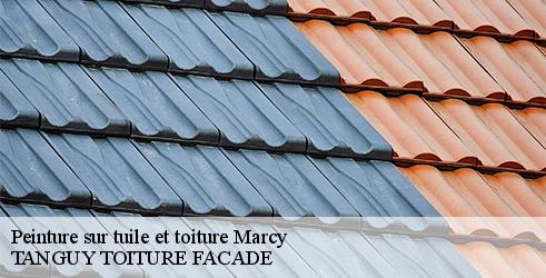 Peinture sur tuile et toiture TANGUY TOITURE FACADE