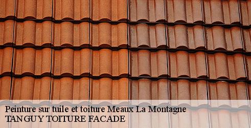 peinture-sur-tuile-et-toiture-tanguy-toiture-facade-4