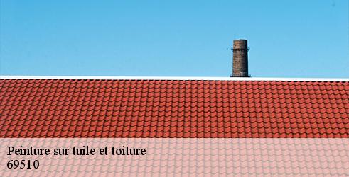 peinture-sur-tuile-et-toiture-tanguy-toiture-facade-2