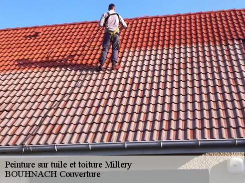 Peinture sur tuile et toiture millery-69390 BOUHNACH Couverture