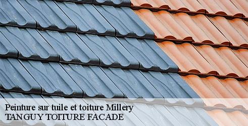 peinture-sur-tuile-et-toiture-tanguy-toiture-facade-10
