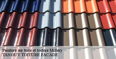 peinture-sur-tuile-et-toiture-tanguy-toiture-facade-7