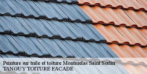 peinture-sur-tuile-et-toiture-tanguy-toiture-facade-10