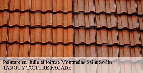 peinture-sur-tuile-et-toiture-tanguy-toiture-facade-4