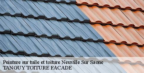 peinture-sur-tuile-et-toiture-tanguy-toiture-facade-10