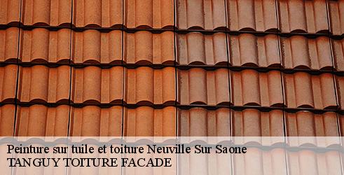 peinture-sur-tuile-et-toiture-tanguy-toiture-facade-4