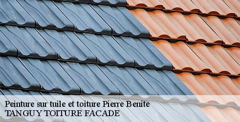 peinture-sur-tuile-et-toiture-tanguy-toiture-facade-10