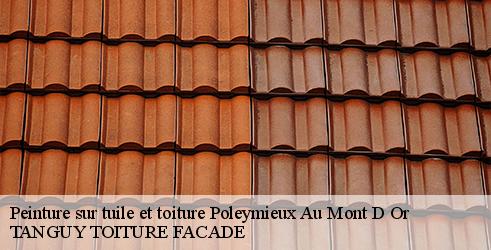 peinture-sur-tuile-et-toiture-tanguy-toiture-facade-4