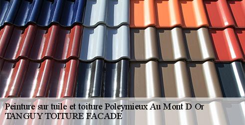 peinture-sur-tuile-et-toiture-tanguy-toiture-facade-7