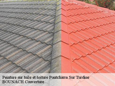 Peinture sur tuile et toiture pontcharra-sur-turdine-69490 BOUNACH Couverture