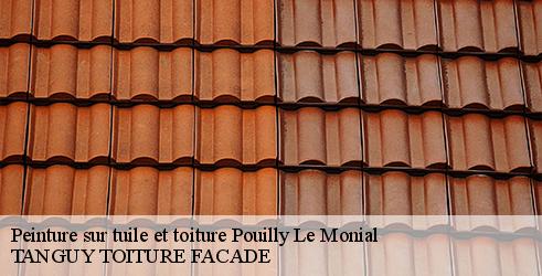 peinture-sur-tuile-et-toiture-tanguy-toiture-facade-4