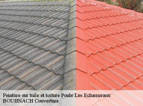 Peinture sur tuile et toiture poule-les-echarmeaux-69870 BOUHNACH Couverture