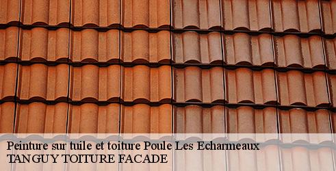 peinture-sur-tuile-et-toiture-tanguy-toiture-facade-4