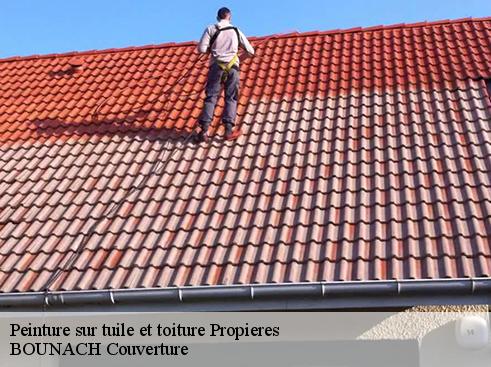 Peinture sur tuile et toiture propieres-69790 BOUNACH Couverture