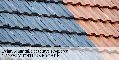 Peinture sur tuile et toiture TANGUY TOITURE FACADE