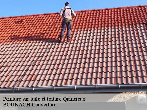 Peinture sur tuile et toiture quincieux-69650 BOUNACH Couverture