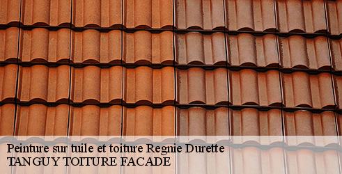 peinture-sur-tuile-et-toiture-tanguy-toiture-facade-4
