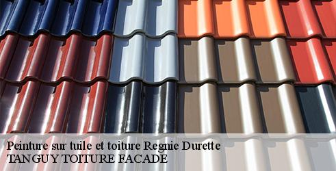 peinture-sur-tuile-et-toiture-tanguy-toiture-facade-7