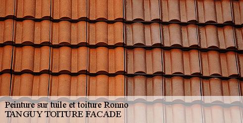 peinture-sur-tuile-et-toiture-tanguy-toiture-facade-4