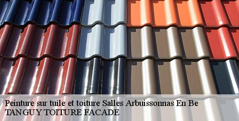 peinture-sur-tuile-et-toiture-tanguy-toiture-facade-7