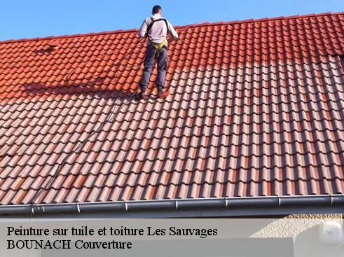 Peinture sur tuile et toiture les-sauvages-69170 BOUNACH Couverture