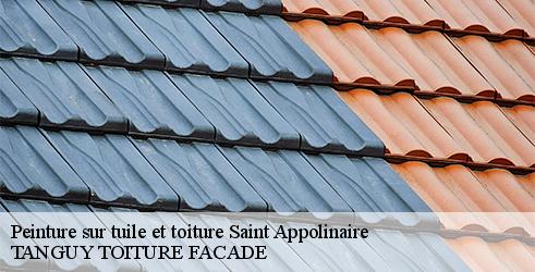 peinture-sur-tuile-et-toiture-tanguy-toiture-facade-10