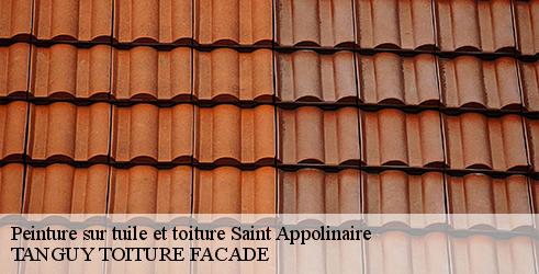 peinture-sur-tuile-et-toiture-tanguy-toiture-facade-4