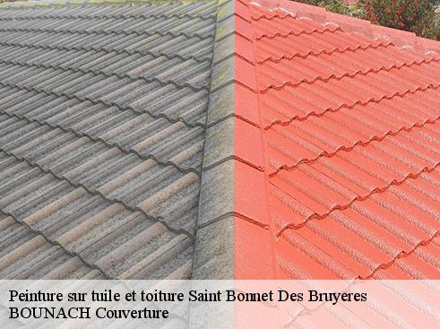 Peinture sur tuile et toiture saint-bonnet-des-bruyeres-69790 BOUNACH Couverture