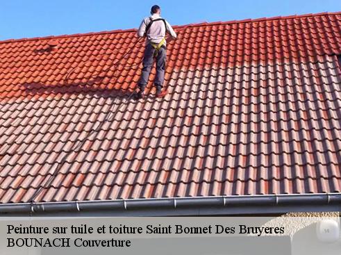 Peinture sur tuile et toiture saint-bonnet-des-bruyeres-69790 BOUNACH Couverture