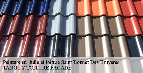 peinture-sur-tuile-et-toiture-tanguy-toiture-facade-7