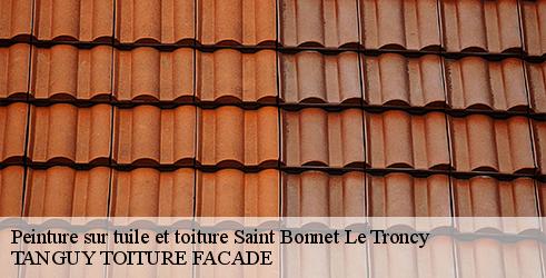 peinture-sur-tuile-et-toiture-tanguy-toiture-facade-4