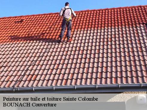 Peinture sur tuile et toiture  sainte-colombe-69560 Artisan Payen