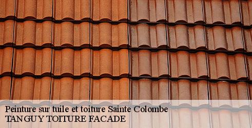 peinture-sur-tuile-et-toiture-tanguy-toiture-facade-4