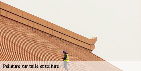 peinture-sur-tuile-et-toiture-tanguy-toiture-facade-6