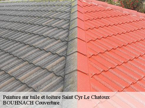 Peinture sur tuile et toiture saint-cyr-le-chatoux-69870 BOUHNACH Couverture