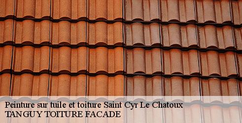 peinture-sur-tuile-et-toiture-tanguy-toiture-facade-4